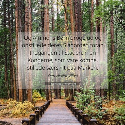 Picture 07 - 1 Krønikebog 19:9 DA1871 - Og Ammons Børn droge ud og opstillede deres - Bible Verse Picture