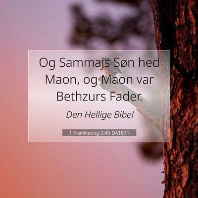 Picture 07 - 1 Krønikebog 2:45 DA1871 - Og Sammajs Søn hed Maon, og Maon var Bethzurs - Bible Verse Picture