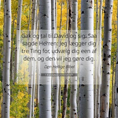 Picture 07 - 1 Krønikebog 21:10 DA1871 - Gak og tal til David og sig: Saa sagde Herren: - Bible Verse Picture