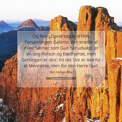 Picture 07 - 1 Krønikebog 29:1 DA1871 - Og Kong David sagde til hele Forsamlingen: - Bible Verse Picture