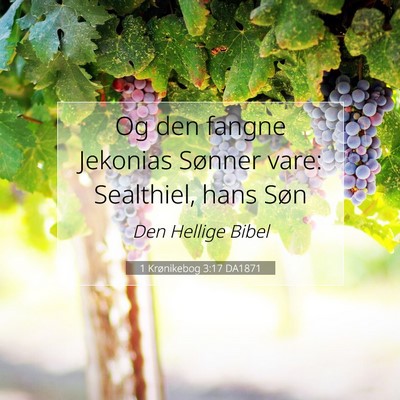 Picture 07 - 1 Krønikebog 3:17 DA1871 - Og den fangne Jekonias Sønner vare: Sealthiel, - Bible Verse Picture