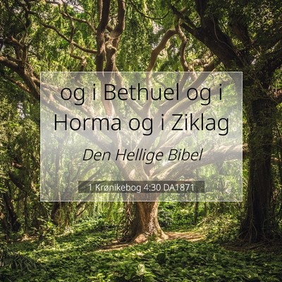 Picture 07 - 1 Krønikebog 4:30 DA1871 - og i Bethuel og i Horma og i - Bible Verse Picture