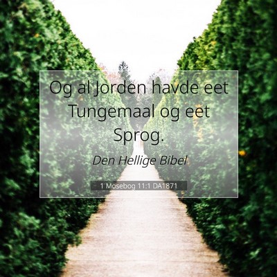 Picture 07 - 1 Mosebog 11:1 DA1871 - Og al Jorden havde eet Tungemaal og eet - Bible Verse Picture