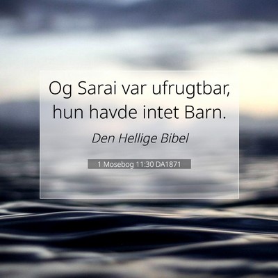 Picture 07 - 1 Mosebog 11:30 DA1871 - Og Sarai var ufrugtbar, hun havde intet - Bible Verse Picture