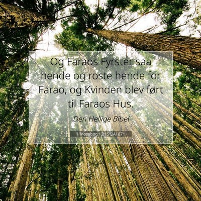 Picture 07 - 1 Mosebog 12:15 DA1871 - Og Faraos Fyrster saa hende og roste hende for - Bible Verse Picture