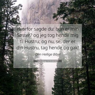 Picture 07 - 1 Mosebog 12:19 DA1871 - Hvorfor sagde du: hun er min Søster? og jeg tog - Bible Verse Picture