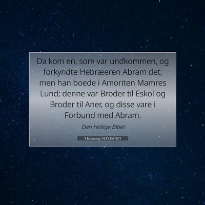 Picture 07 - 1 Mosebog 14:13 DA1871 - Da kom en, som var undkommen, og forkyndte - Bible Verse Picture