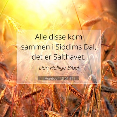 Picture 07 - 1 Mosebog 14:3 DA1871 - Alle disse kom sammen i Siddims Dal, det er - Bible Verse Picture