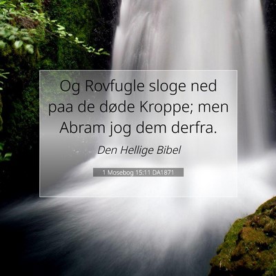 Picture 07 - 1 Mosebog 15:11 DA1871 - Og Rovfugle sloge ned paa de døde Kroppe; men - Bible Verse Picture