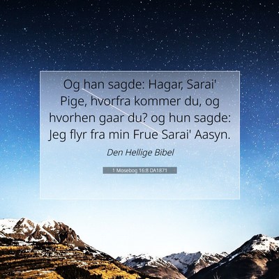 Picture 07 - 1 Mosebog 16:8 DA1871 - Og han sagde: Hagar, Sarai' Pige, hvorfra kommer - Bible Verse Picture