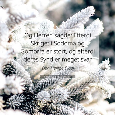 Picture 07 - 1 Mosebog 18:20 DA1871 - Og Herren sagde: Efterdi Skriget i Sodoma og - Bible Verse Picture