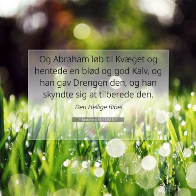 Picture 07 - 1 Mosebog 18:7 DA1871 - Og Abraham løb til Kvæget og hentede en blød - Bible Verse Picture