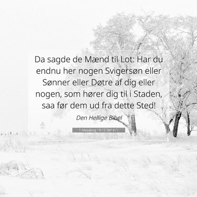 Picture 07 - 1 Mosebog 19:12 DA1871 - Da sagde de Mænd til Lot: Har du endnu her nogen - Bible Verse Picture