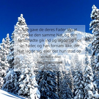 Picture 07 - 1 Mosebog 19:33 DA1871 - Saa gave de deres Fader Vin at drikke den samme - Bible Verse Picture