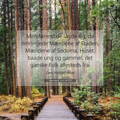 Picture 07 - 1 Mosebog 19:4 DA1871 - Men førend de lagde sig, da omringede Mændene - Bible Verse Picture