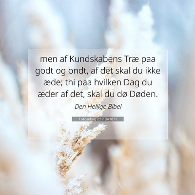Picture 07 - 1 Mosebog 2:17 DA1871 - men af Kundskabens Træ paa godt og ondt, af det - Bible Verse Picture