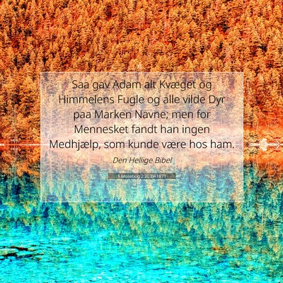 Picture 07 - 1 Mosebog 2:20 DA1871 - Saa gav Adam alt Kvæget og Himmelens Fugle og - Bible Verse Picture