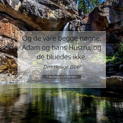 Picture 07 - 1 Mosebog 2:25 DA1871 - Og de vare begge nøgne, Adam og hans Hustru, og - Bible Verse Picture