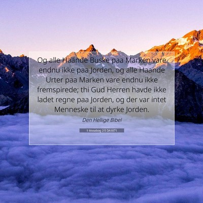 Picture 07 - 1 Mosebog 2:5 DA1871 - Og alle Haande Buske paa Marken vare endnu ikke - Bible Verse Picture