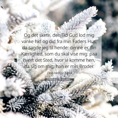Picture 07 - 1 Mosebog 20:13 DA1871 - Og det skete, den Tid Gud lod mig vanke hid og - Bible Verse Picture
