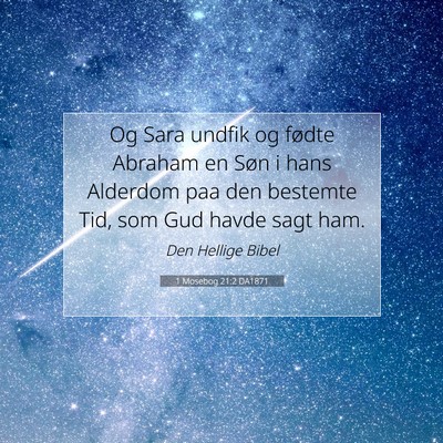 Picture 07 - 1 Mosebog 21:2 DA1871 - Og Sara undfik og fødte Abraham en Søn i hans - Bible Verse Picture