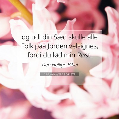Picture 07 - 1 Mosebog 22:18 DA1871 - og udi din Sæd skulle alle Folk paa Jorden - Bible Verse Picture
