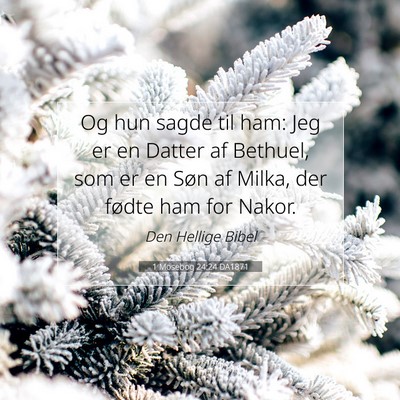 Picture 07 - 1 Mosebog 24:24 DA1871 - Og hun sagde til ham: Jeg er en Datter af - Bible Verse Picture