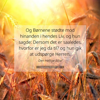 Picture 07 - 1 Mosebog 25:22 DA1871 - Og Børnene stødte mod hinanden i hendes Liv, og - Bible Verse Picture