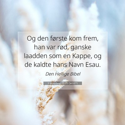 Picture 07 - 1 Mosebog 25:25 DA1871 - Og den første kom frem, han var rød, ganske - Bible Verse Picture