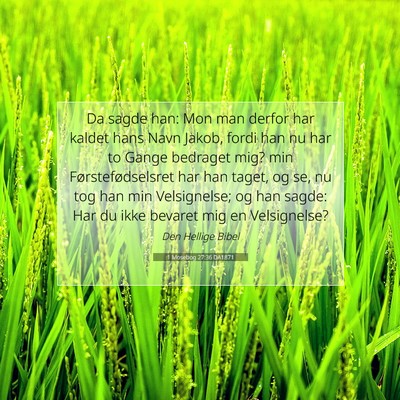 Picture 07 - 1 Mosebog 27:36 DA1871 - Da sagde han: Mon man derfor har kaldet hans Navn - Bible Verse Picture