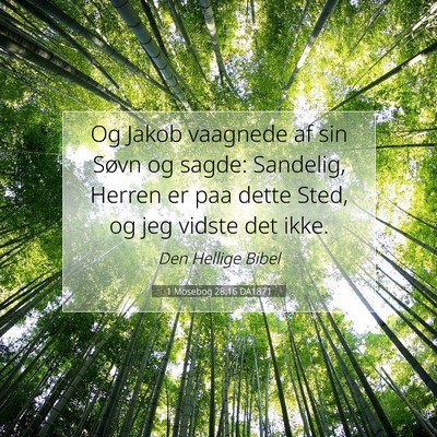Picture 07 - 1 Mosebog 28:16 DA1871 - Og Jakob vaagnede af sin Søvn og sagde: - Bible Verse Picture