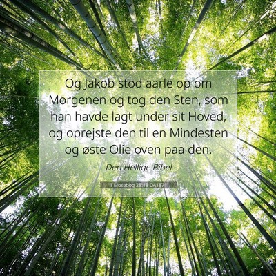 Picture 07 - 1 Mosebog 28:18 DA1871 - Og Jakob stod aarle op om Morgenen og tog den - Bible Verse Picture