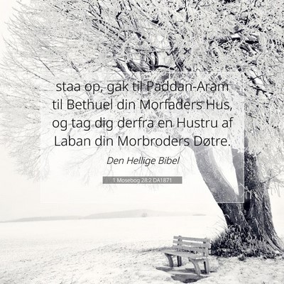 Picture 07 - 1 Mosebog 28:2 DA1871 - staa op, gak til Paddan-Aram til Bethuel din - Bible Verse Picture