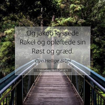 Picture 07 - 1 Mosebog 29:11 DA1871 - Og Jakob kyssede Rakel og opløftede sin Røst og - Bible Verse Picture