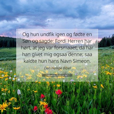 Picture 07 - 1 Mosebog 29:33 DA1871 - Og hun undfik igen og fødte en Søn og sagde: - Bible Verse Picture