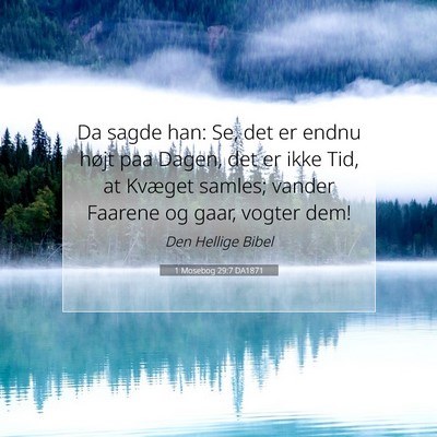 Picture 07 - 1 Mosebog 29:7 DA1871 - Da sagde han: Se, det er endnu højt paa Dagen, - Bible Verse Picture