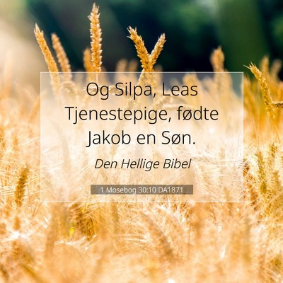 Picture 07 - 1 Mosebog 30:10 DA1871 - Og Silpa, Leas Tjenestepige, fødte Jakob en - Bible Verse Picture