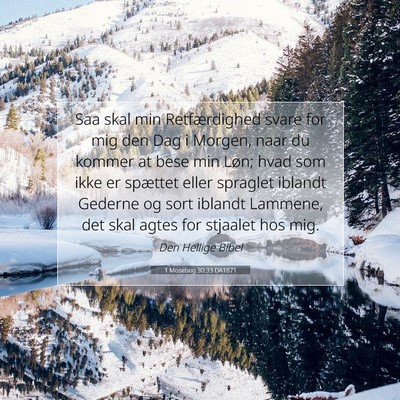 Picture 07 - 1 Mosebog 30:33 DA1871 - Saa skal min Retfærdighed svare for mig den Dag - Bible Verse Picture