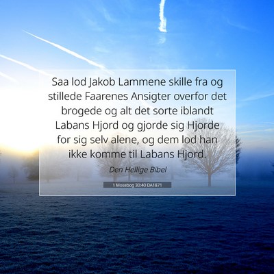 Picture 07 - 1 Mosebog 30:40 DA1871 - Saa lod Jakob Lammene skille fra og stillede - Bible Verse Picture