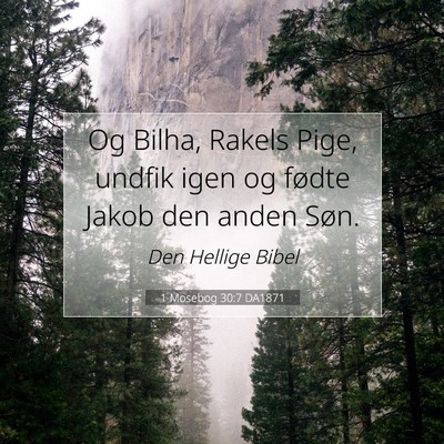 Picture 07 - 1 Mosebog 30:7 DA1871 - Og Bilha, Rakels Pige, undfik igen og fødte - Bible Verse Picture