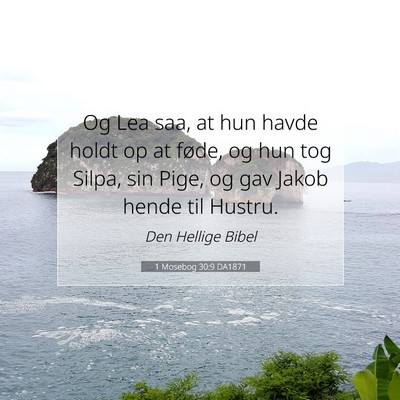 Picture 07 - 1 Mosebog 30:9 DA1871 - Og Lea saa, at hun havde holdt op at føde, og - Bible Verse Picture