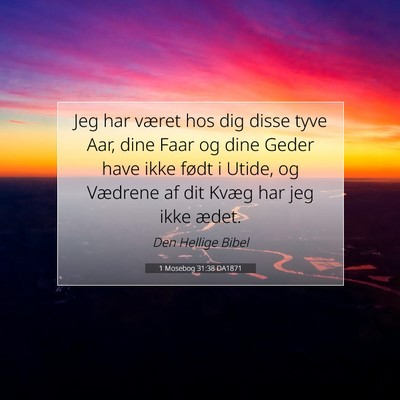 Picture 07 - 1 Mosebog 31:38 DA1871 - Jeg har været hos dig disse tyve Aar, dine Faar - Bible Verse Picture
