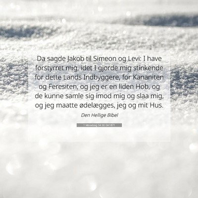 Picture 07 - 1 Mosebog 34:30 DA1871 - Da sagde Jakob til Simeon og Levi: I have - Bible Verse Picture