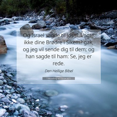 Picture 07 - 1 Mosebog 37:13 DA1871 - Og Israel sagde til Josef: Vogte ikke dine - Bible Verse Picture