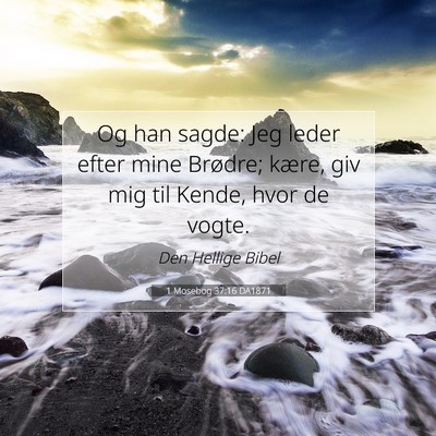 Picture 07 - 1 Mosebog 37:16 DA1871 - Og han sagde: Jeg leder efter mine Brødre; - Bible Verse Picture