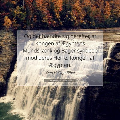 Picture 07 - 1 Mosebog 40:1 DA1871 - Og det hændte sig derefter, at Kongen af - Bible Verse Picture