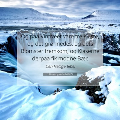 Picture 07 - 1 Mosebog 40:10 DA1871 - Og paa Vintræet vare tre Kviste, og det - Bible Verse Picture