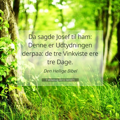 Picture 07 - 1 Mosebog 40:12 DA1871 - Da sagde Josef til ham: Denne er Udtydningen - Bible Verse Picture