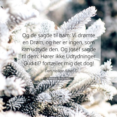 Picture 07 - 1 Mosebog 40:8 DA1871 - Og de sagde til ham: Vi drømte en Drøm, og her - Bible Verse Picture