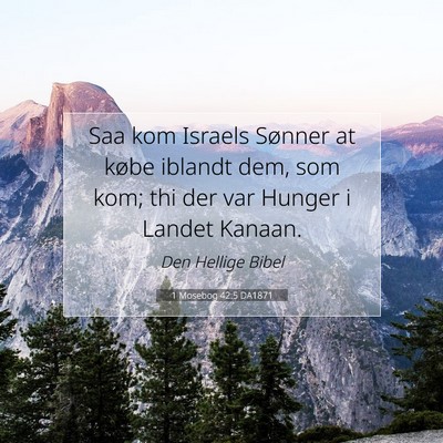 Picture 07 - 1 Mosebog 42:5 DA1871 - Saa kom Israels Sønner at købe iblandt dem, som - Bible Verse Picture